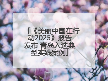 《美丽中国在行动2025》报告发布 青岛入选典型实践案例