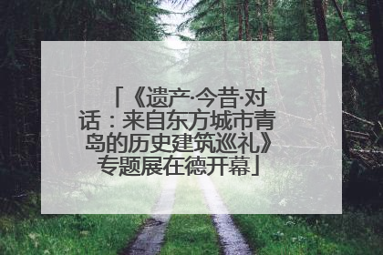 《遗产·今昔·对话：来自东方城市青岛的历史建筑巡礼》专题展在德开幕