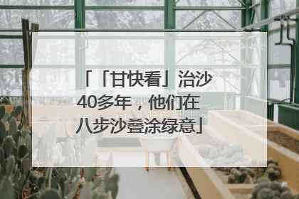 「甘快看」治沙40多年，他们在八步沙叠涂绿意