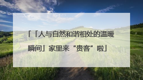 「人与自然和谐相处的温暖瞬间」家里来“贵客”啦