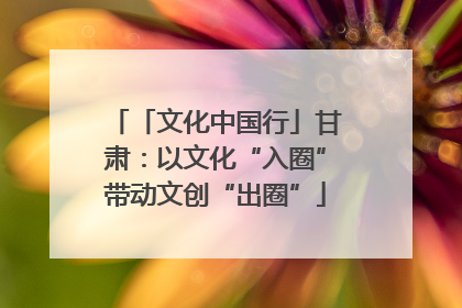 「文化中国行」甘肃：以文化“入圈”带动文创“出圈”