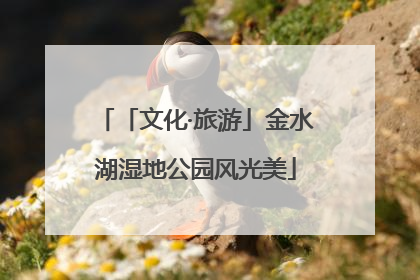 「文化·旅游」金水湖湿地公园风光美