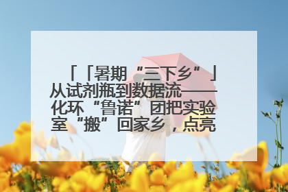 「暑期“三下乡”」从试剂瓶到数据流——化环“鲁诺”团把实验室“搬”回家乡，点亮桑梓求知路