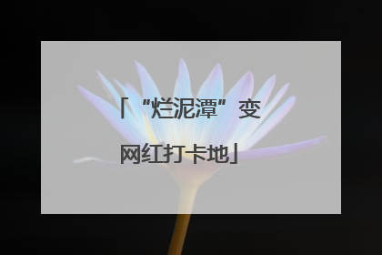“烂泥潭”变网红打卡地