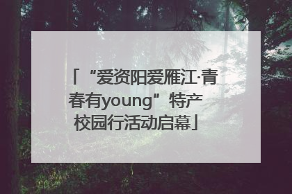“爱资阳爱雁江·青春有young”特产校园行活动启幕