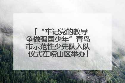 “牢记党的教导 争做强国少年”青岛市示范性少先队入队仪式在崂山区举办