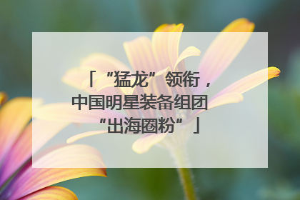 “猛龙”领衔，中国明星装备组团“出海圈粉”