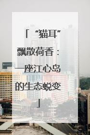 “猫耳”飘散荷香：一座江心岛的生态蜕变