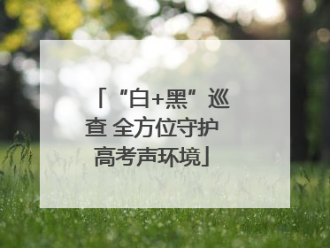 “白+黑”巡查 全方位守护高考声环境