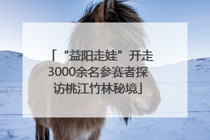 “益阳走娃”开走 3000余名参赛者探访桃江竹林秘境