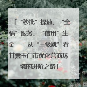 “秒批”提速、“全情”服务、“信用”生金——从“三级跳”看甘肃玉门市优化营商环境的进阶之路
