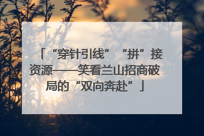 “穿针引线”“拼”接资源——笑看兰山招商破局的“双向奔赴”