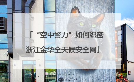 “空中警力”如何织密浙江金华全天候安全网