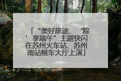 “美好旅途、‘粽’享端午”主题快闪在苏州火车站、苏州南站候车大厅上演