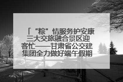 “粽”情服务护安康 三大交旅融合景区迎客忙——甘肃省公交建集团全力做好端午假期景区运营工作