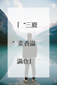 “三夏”麦香溢满仓