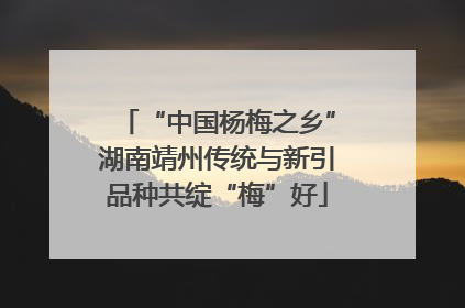 “中国杨梅之乡”湖南靖州传统与新引品种共绽“梅”好