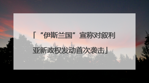 “伊斯兰国”宣称对叙利亚新政权发动首次袭击