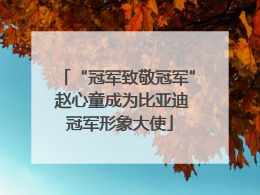 “冠军致敬冠军” 赵心童成为比亚迪冠军形象大使