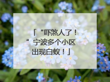 “吓煞人了！”宁波多个小区出现白蚁！