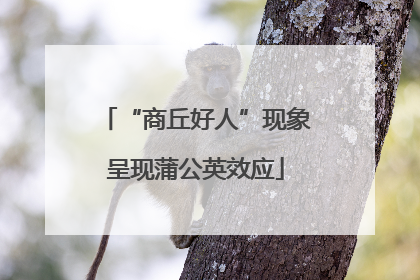“商丘好人”现象呈现蒲公英效应