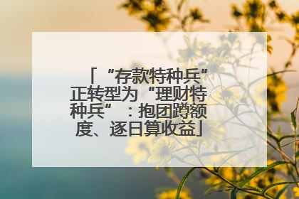 “存款特种兵”正转型为“理财特种兵”：抱团蹲额度、逐日算收益