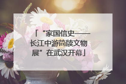 “家国信史——长江中游简牍文物展”在武汉开幕