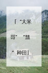 “大米哥”“慧”种田