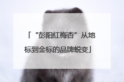 “彭阳红梅杏”从地标到金标的品牌蜕变