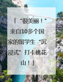 “很美丽！”来自10多个国家的留学生“沉浸式”打卡桃花山！