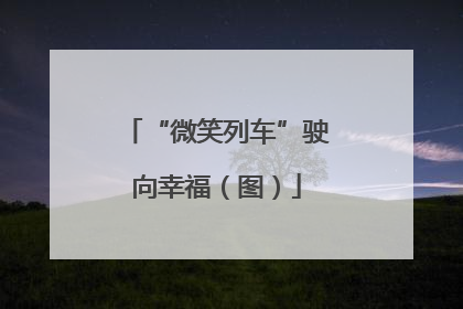 “微笑列车”驶向幸福(图)