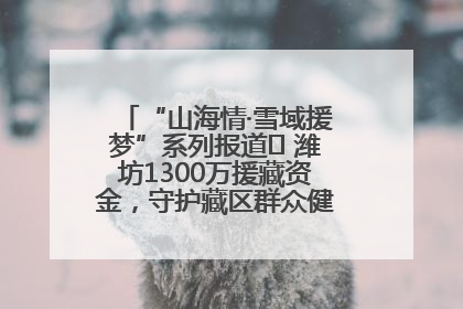 “山海情·雪域援梦”系列报道⑪ 潍坊1300万援藏资金，守护藏区群众健康“最后一公里”