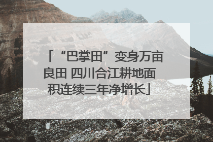 “巴掌田”变身万亩良田 四川合江耕地面积连续三年净增长