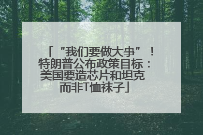 “我们要做大事”！特朗普公布政策目标：美国要造芯片和坦克 而非T恤袜子
