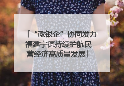 “政银企”协同发力 福建宁德持续护航民营经济高质量发展