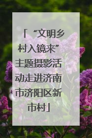 “文明乡村入镜来”主题摄影活动走进济南市济阳区新市村