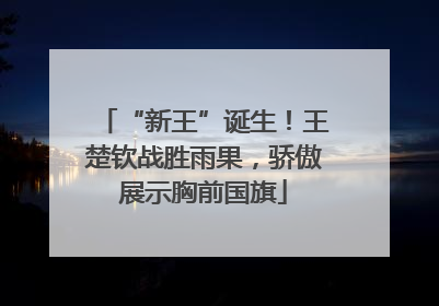 “新王”诞生！王楚钦战胜雨果，骄傲展示胸前国旗