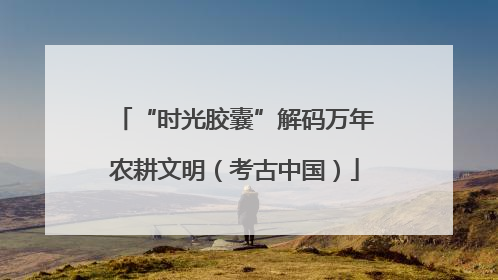 “时光胶囊”解码万年农耕文明（考古中国）