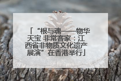 “根与魂——物华天宝 非常客家：江西省非物质文化遗产展演”在香港举行