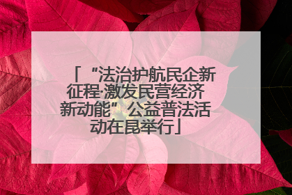 “法治护航民企新征程·激发民营经济新动能”公益普法活动在昆举行