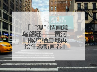 “湿”情画意鸟翩跹——黄河口候鸟栖息地再绘生态新画卷