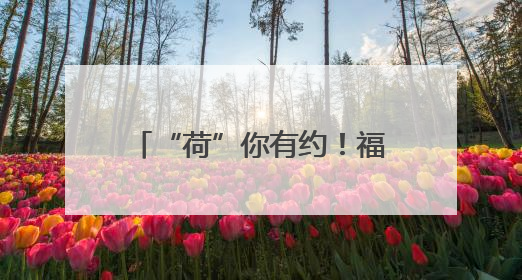 “荷”你有约！福州连江夏日“顶流”等你来打卡→