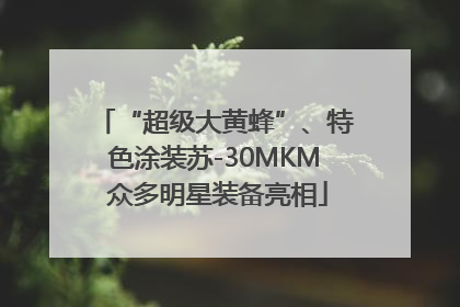 “超级大黄蜂”、特色涂装苏-30MKM 众多明星装备亮相