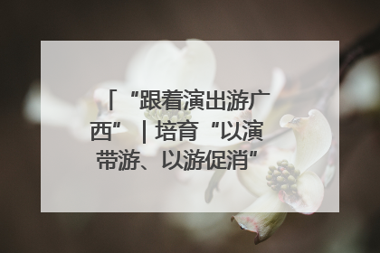 “跟着演出游广西”｜培育“以演带游、以游促消”文旅消费新生态