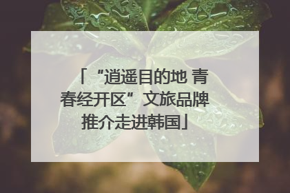“逍遥目的地 青春经开区”文旅品牌推介走进韩国