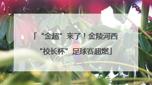 “金超”来了！金陵河西“校长杯”足球赛超燃