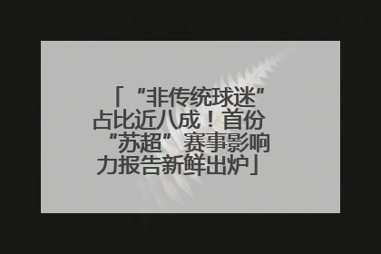 “非传统球迷”占比近八成！首份“苏超”赛事影响力报告新鲜出炉