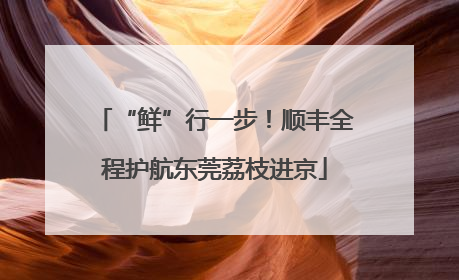 “鲜”行一步！顺丰全程护航东莞荔枝进京