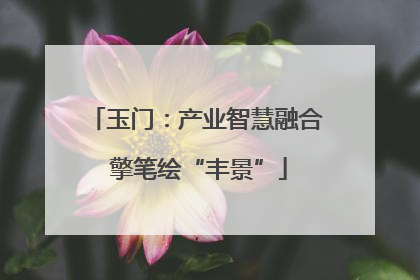 玉门：产业智慧融合 擎笔绘“丰景”
