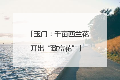 玉门：千亩西兰花开出“致富花”